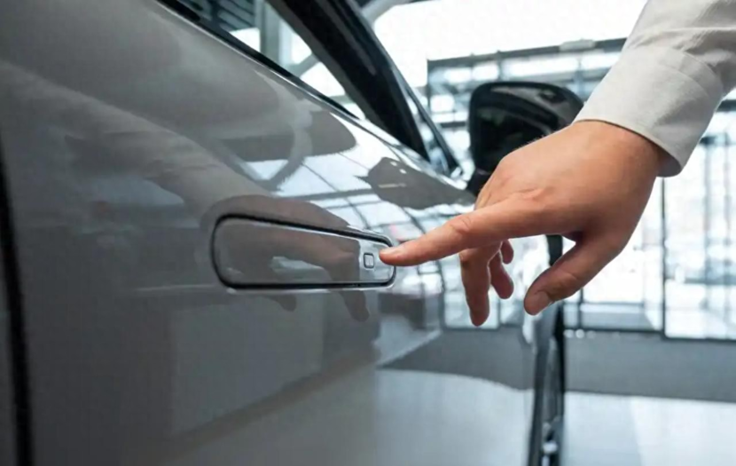 全隐藏式门把手被强制“退市”？网友：早该取消了！