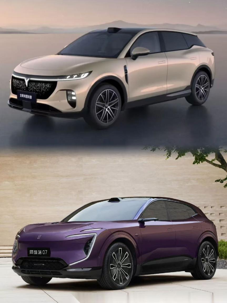 市场新起之秀二选一，岚图知音VS阿维塔07，你会怎么选？